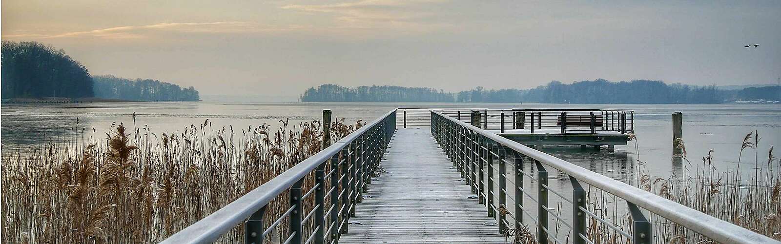 Steg Scharmützelsee,
            
        
                Foto: Fotograf / Lizenz - Media Import/Angelika Laslo