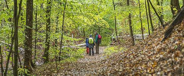 Wanderungen im Naturpark Barnim