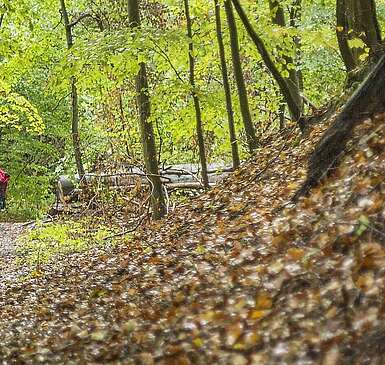 Wanderungen im Naturpark Barnim