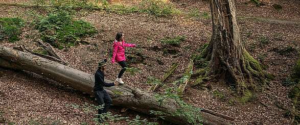 Wandern im Herbst quer durch Brandenburg