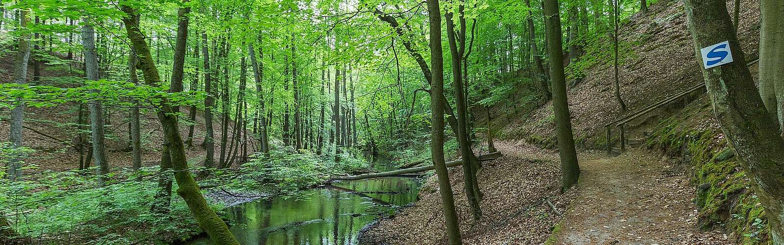 Schlaubetal,
            
        
                Foto: TMB Tourismus-Marketing Brandenburg GmbH/Steffen Lehmann