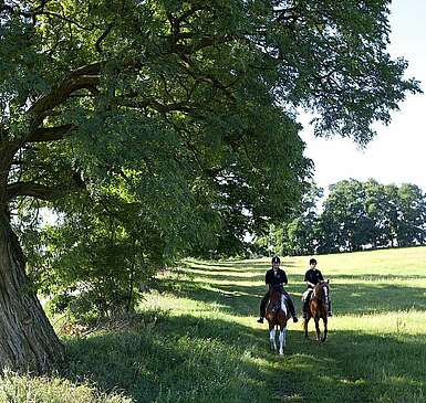 Reiten