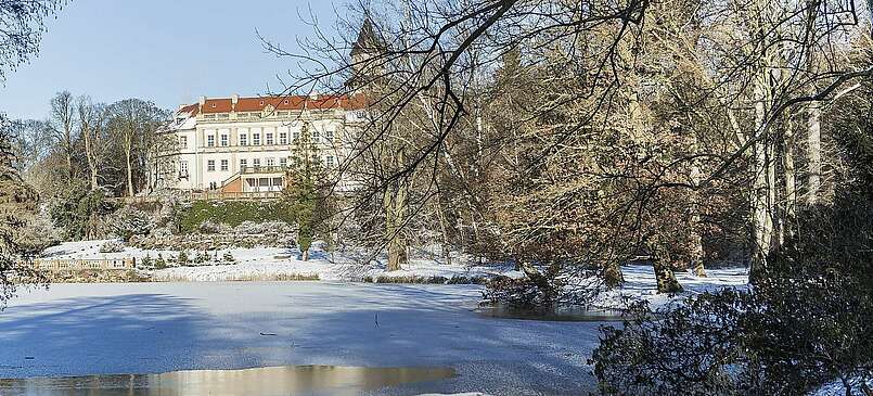 5 Tipps Brandenburg im Winter zu entdecken