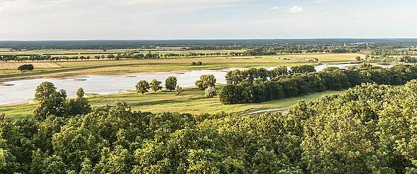 Prignitz: Naturerlebnis am großen Strom