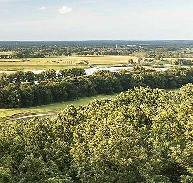 Prignitz: Naturerlebnis am großen Strom