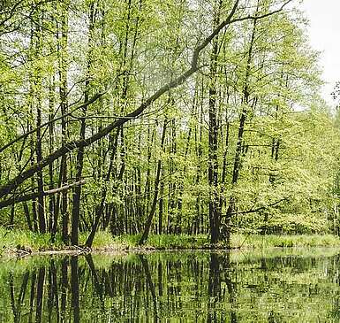 Auszeit im Spreewald