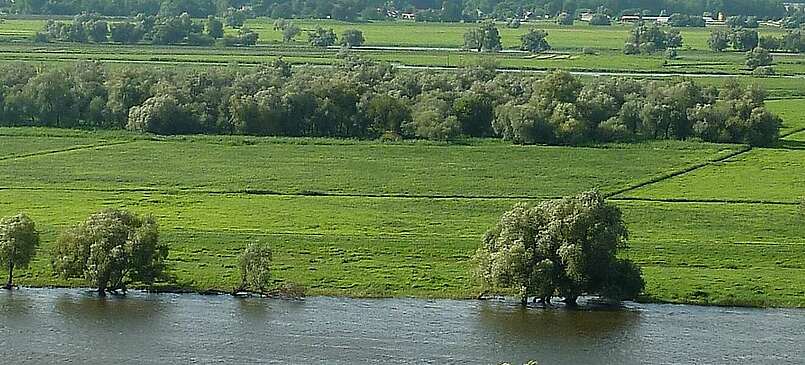 Parks in der unteren Oderregion