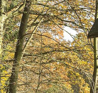 Naturpark Märkische Schweiz: Wandern für die ganze Familie