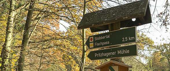 Naturpark Märkische Schweiz: Wandern für die ganze Familie