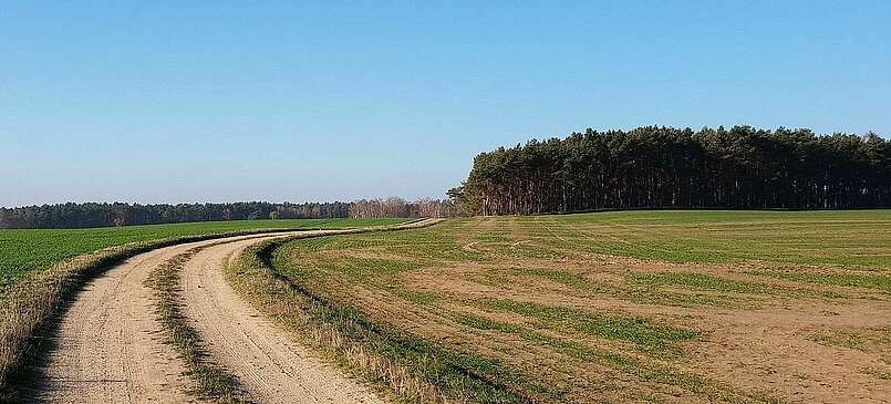 Auf in den Märchenwald