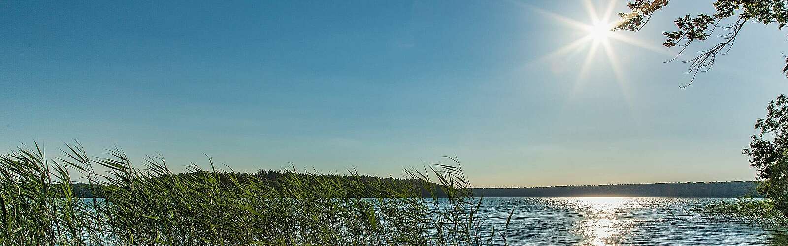 Stechlinsee im Ruppiner Seenland,
            
        
                Foto: TMB Tourismus-Marketing Brandenburg GmbH/Steffen Lehmann