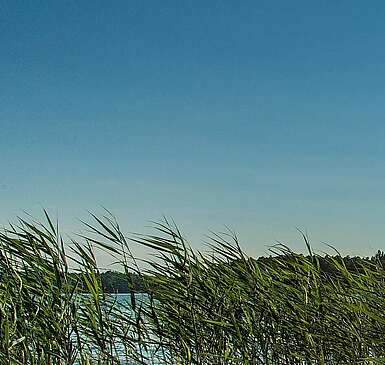 Auf den Spuren Fontanes am Stechlinsee