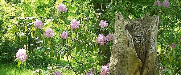 Der Forstbotanische Garten in Eberswalde