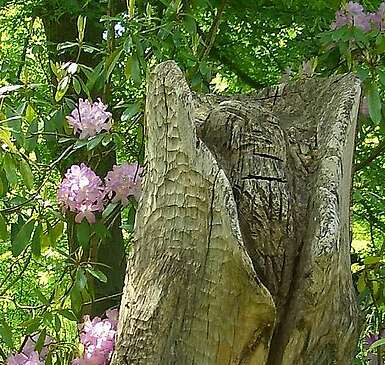 Der Forstbotanische Garten in Eberswalde