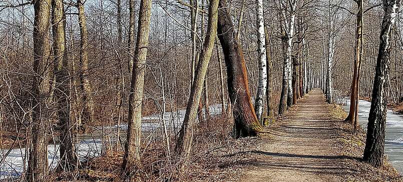 Winterwanderung im Spreewald