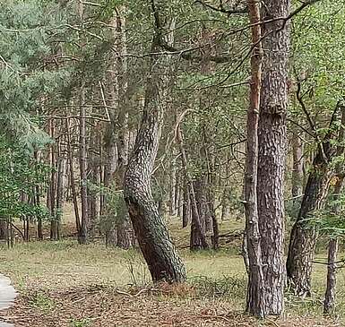 Eine Zufallsreise durch Brandenburg