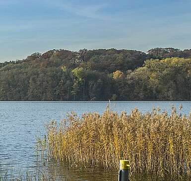 Ein Besuch im Brechtschen Ferienhaus am Schermützelsee