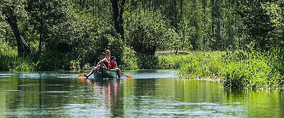 Paddeln im Spreewald