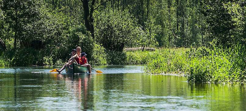 Paddeln im Spreewald