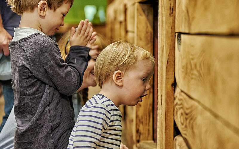 



        
            Erstauntes Kind vor Aquarium,
        
    

        Foto: Fotograf / Lizenz - Media Import/Florian Trykowski
    