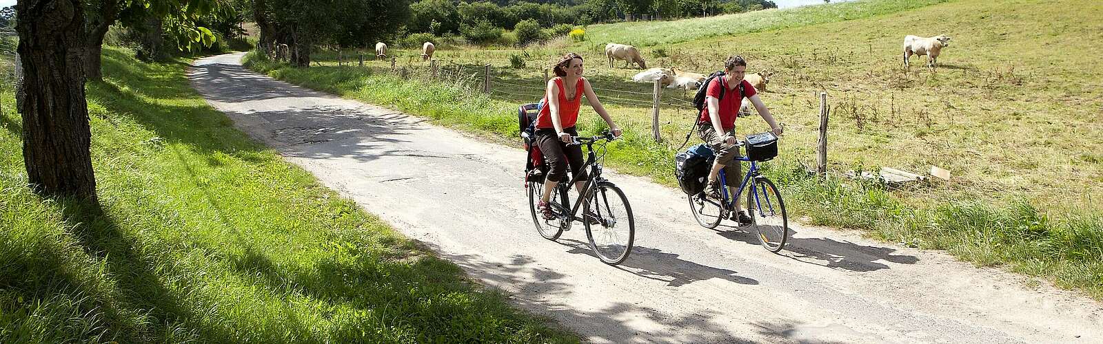 Radfahrer unterwegs,
            
        
                
                
                    Foto: Paul Hahn