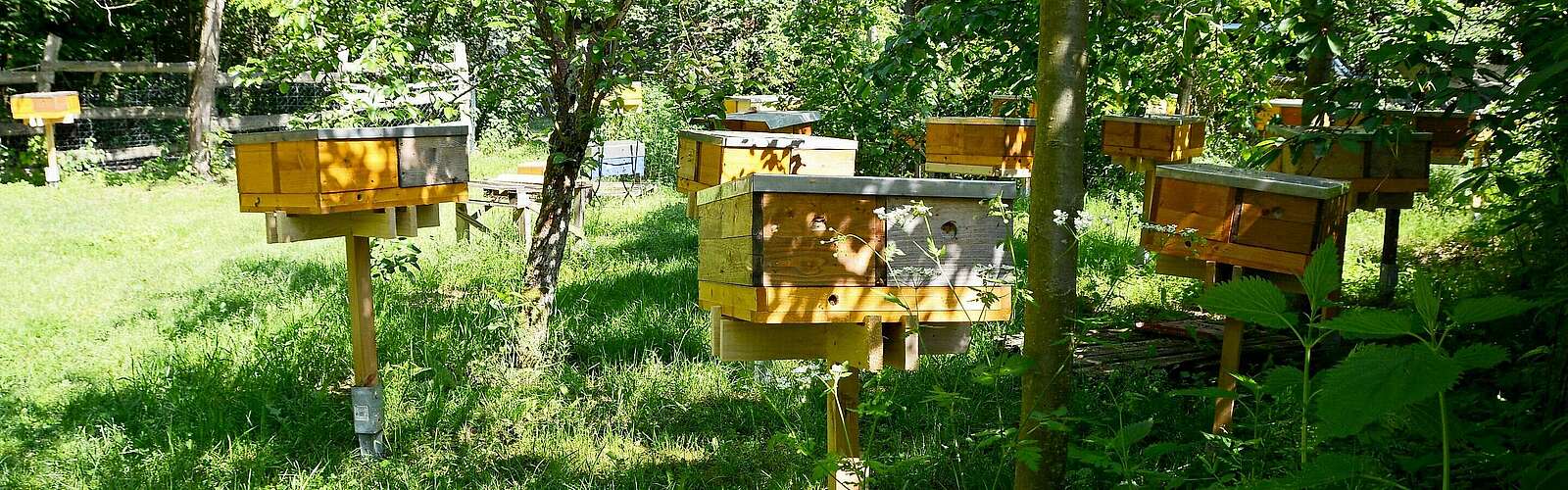 Eine Vermehrungsstation für Bienenvölker,
        
    

        Foto: TMB Tourismus-Marketing Brandenburg GmbH/Nina Lenze
