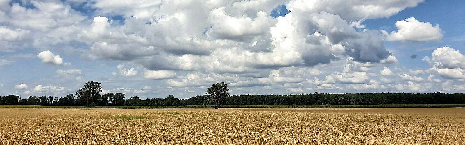 Annenpfad in der Prignitz,
            
        
                
                
                    Foto: Frank Meyer