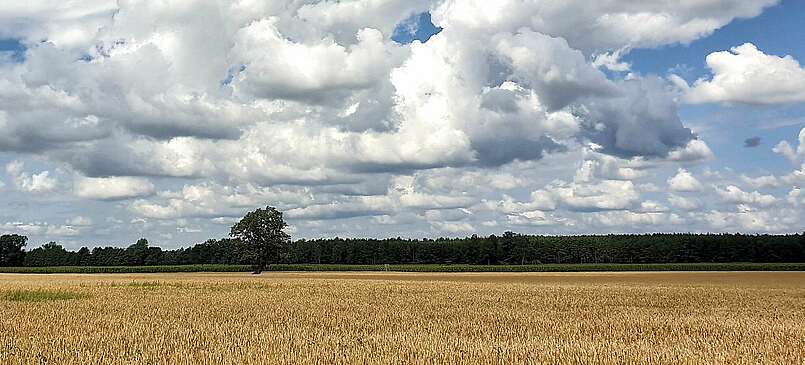 Wandern auf dem Annenpfad