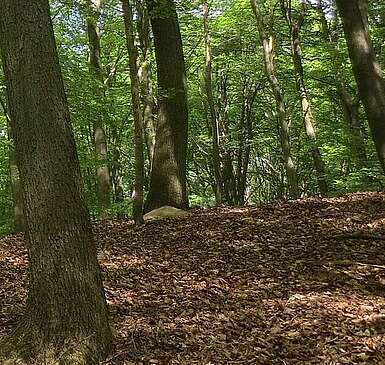 Eine Wanderung durch das UNESCO-Weltnaturerbe