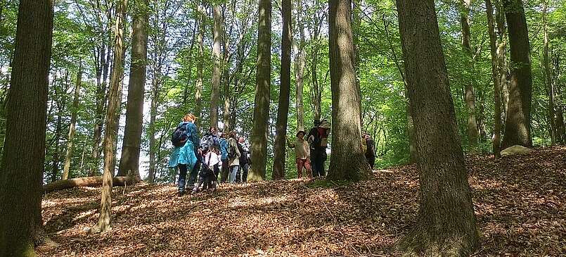 Eine Wanderung durch das UNESCO-Weltnaturerbe