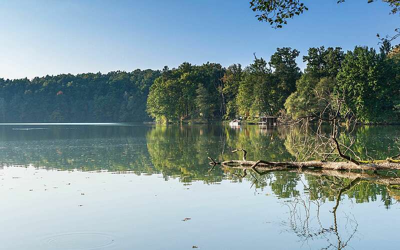 



    
        
                Wirchensee im Naturpark Schlaubetal,
            
        
                Foto: TMB Tourismus-Marketing Brandenburg GmbH/Steffen Lehmann
            
    
