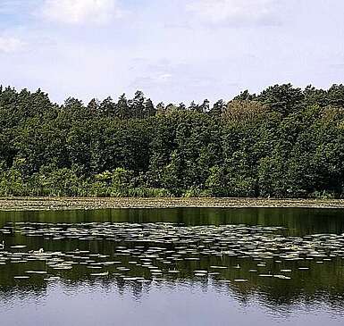 Wandern im Naturpark Barnim