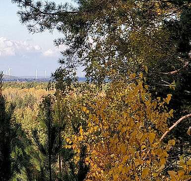 Herbstleuchten in der Calauer Schweiz