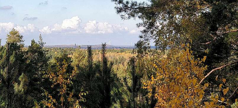 Herbstleuchten in der Calauer Schweiz