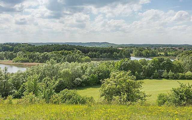 Blick über die Schorfheide