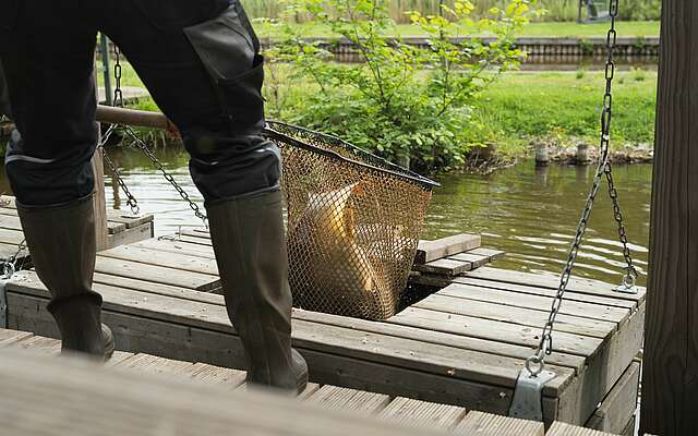 Fischkästen auf dem Naturgut Köllnitz