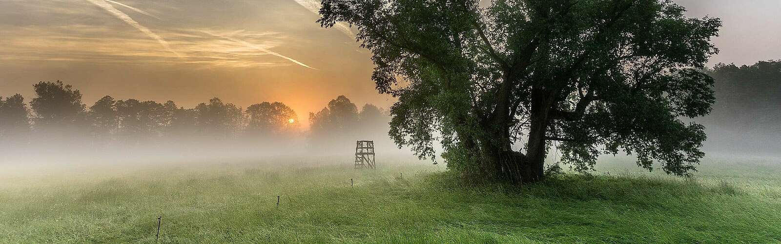 Morgentau auf den Spreewaldwiesen,
            
        
                Foto: Fotograf / Lizenz - Media Import/Alois Eckl