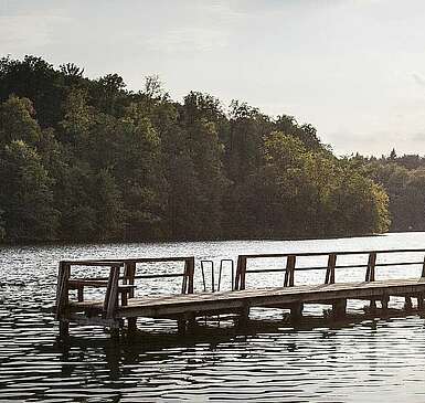 Eine Wanderung durch das Biesenthal entlang des 66-Seen-Wegs