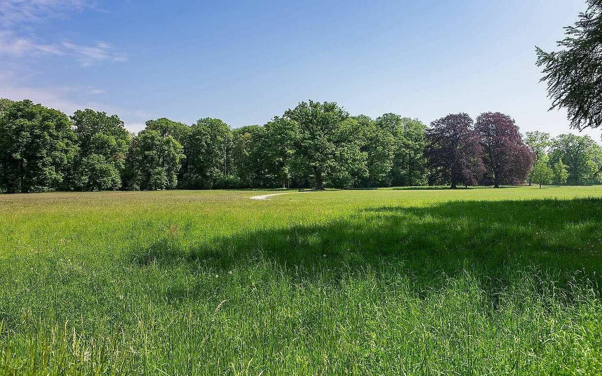 Park Schloss Neuhardenberg