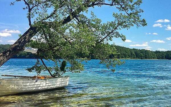 Blick auf den Stechlinsee