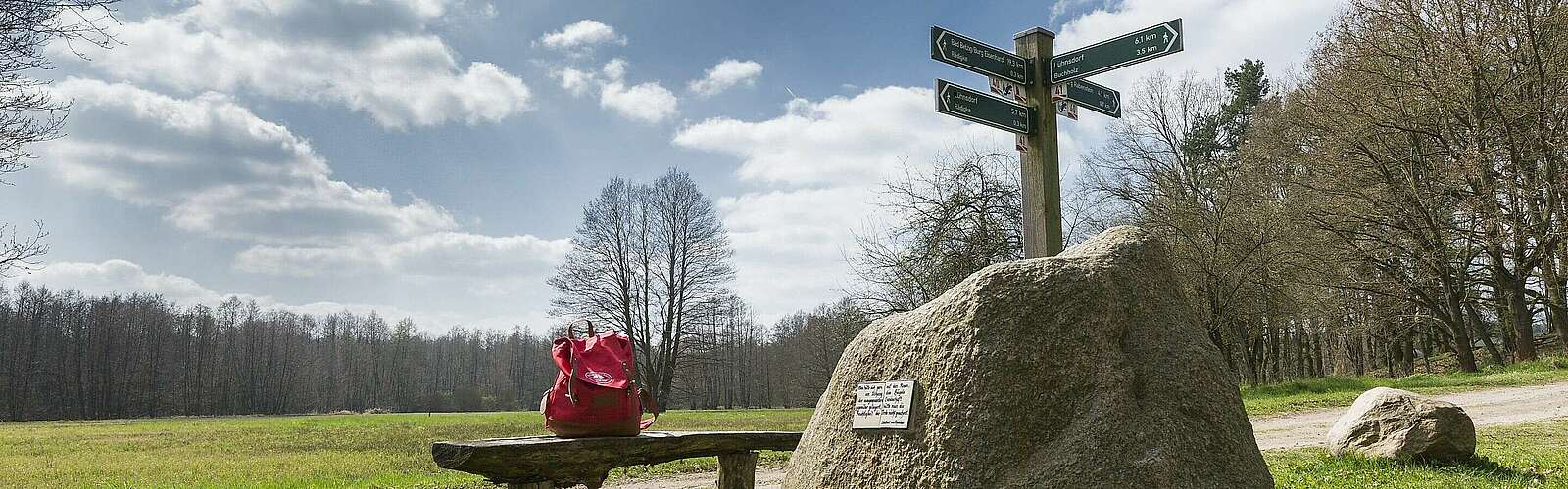 Wandern im Hohen Fläming,
            
        
                Foto: TMB Tourismus-Marketing Brandenburg GmbH/Steffen Lehmann