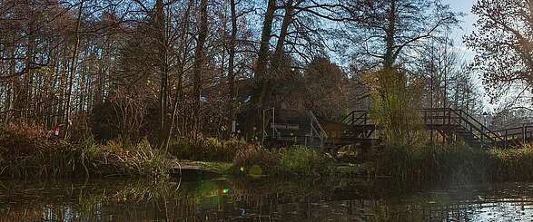 Spreewald: Glücksmomente im Winter