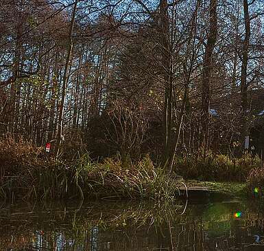 Spreewald: Glücksmomente im Winter